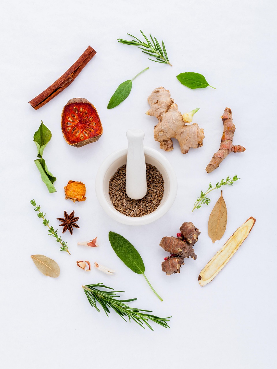 SIBO herbs