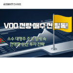 VOO 전량 매수 전 필독! 소수 대형주 주도 장세 속 현명한 분산 투자 전략